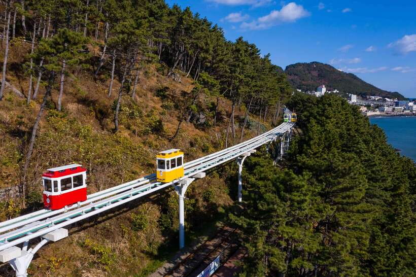 Busan: Sunset Haeundae Sky Capsule & Busan Night view Tour - Dinner at Cheongsapo-ro BBQ Street: quick, local, and on your tab