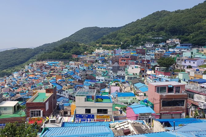 Busan Tour: Gamcheon Village & Haedong Yonggungsa Temple + Lunch - Why This Busan Highlights Tour Works So Well