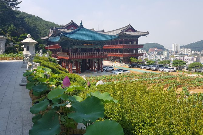 Busan Tour: Gamcheon Village & Haedong Yonggungsa Temple + Lunch - Hwangnyeongsan Mountain for Breathing Space and City Views