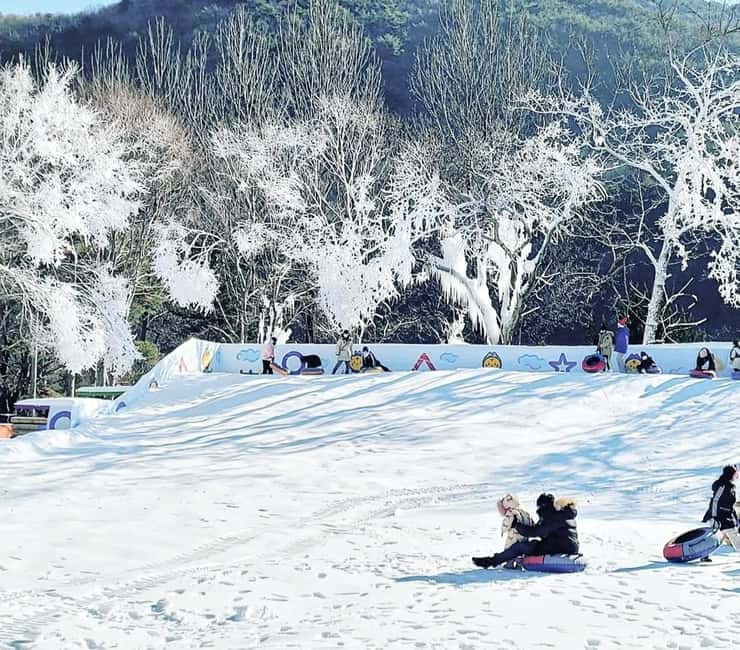 Busan: Winter Healing Park and (Gyeongju/Daegu) One Day Tour - Key Things You’ll Notice on This Tour