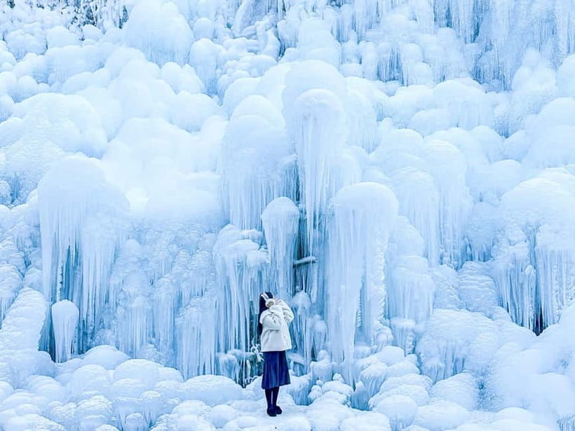 Busan: Winter Healing Park and (Gyeongju/Daegu) One Day Tour - A Busan Winter Day Trip With Real Winter Fun