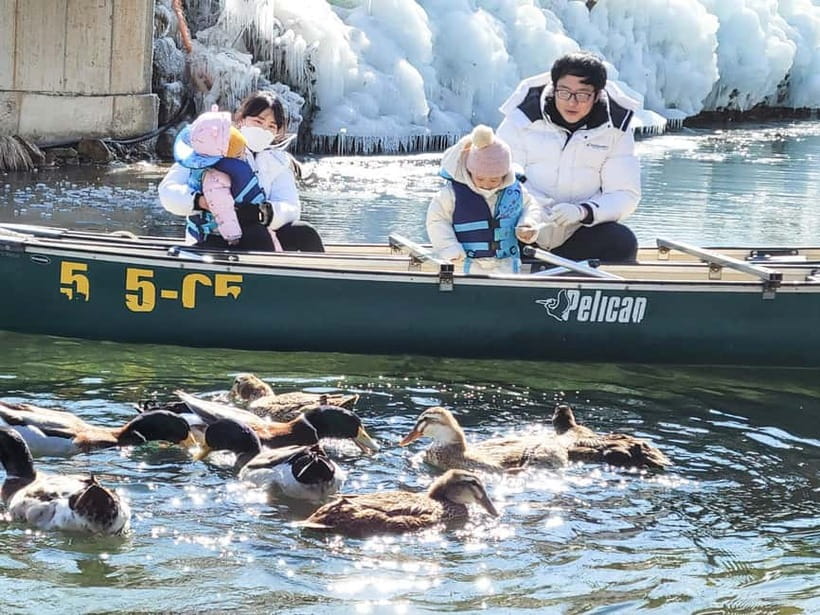 Busan: Winter Healing Park and (Gyeongju/Daegu) One Day Tour - Price and What You’re Actually Getting for $65