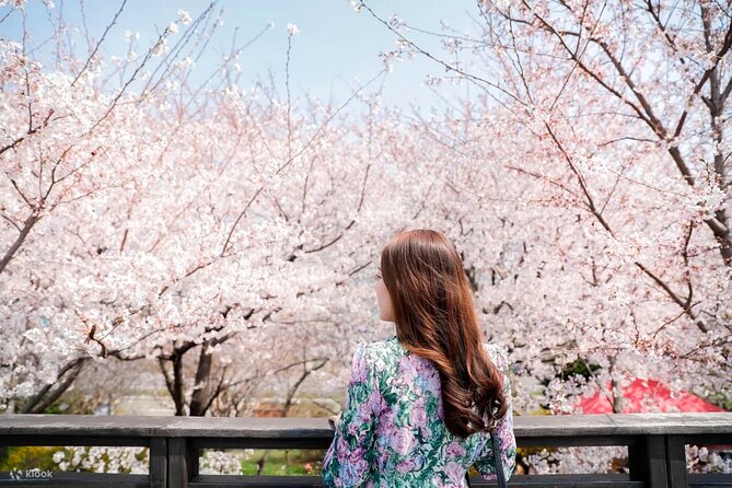 Chasing Cherry Blossom & Spring Flowers Day Tour from Seoul - Key Things That Make This Tour Work