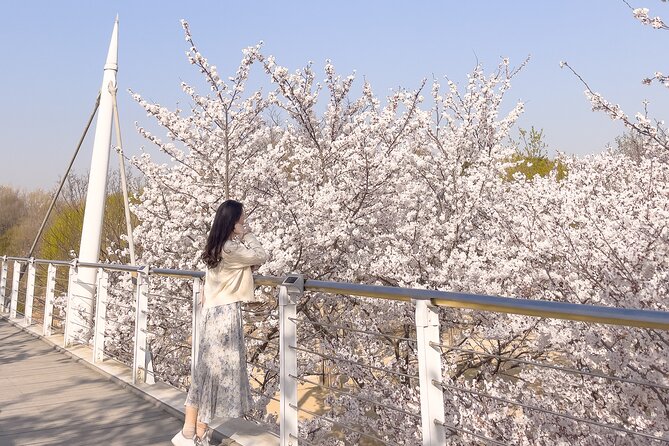 Chasing Cherry Blossom & Spring Flowers Day Tour from Seoul - Pickup From Three Seoul Points: The Start Matters