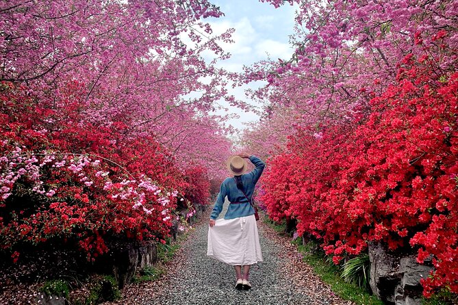 Chasing Cherry Blossom & Spring Flowers Day Tour from Seoul - When Blossom Timing Is Off: How to Think About the Flex Plan