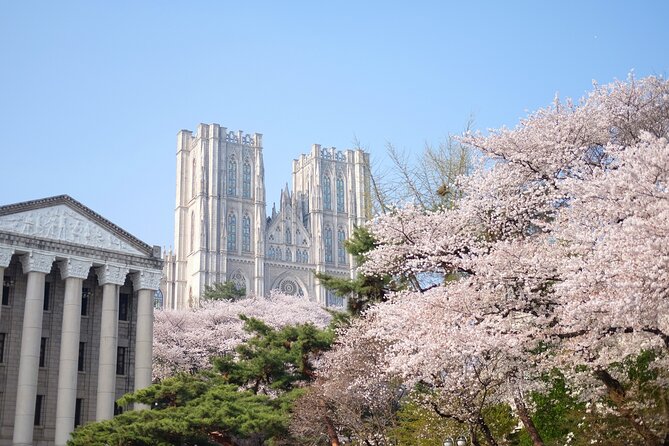 Chasing Cherry Blossom & Spring Flowers Day Tour from Seoul - Your Full-Day Flow, and How It Stays Flexible