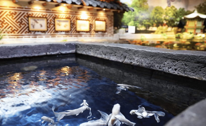 Coex Aquarium Entry Ticket - Performances and feeding shows that add energy