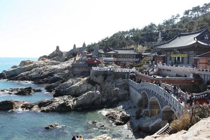 Cruise Layover Busan Highlight Tour with Sea temple and Gamcheon - Jagalchi Fish Market: the cultural shortcut to Korean food culture