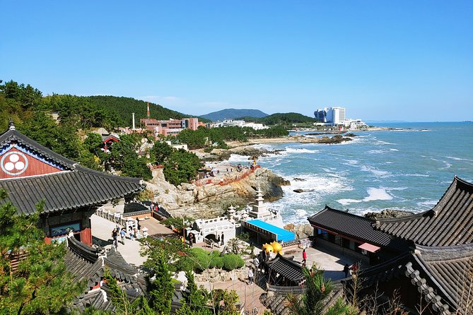 Cruise Layover Busan Highlight Tour with Sea temple and Gamcheon - Stop-by-stop: what Haedong Yonggungsa does for your photos and your sense of place