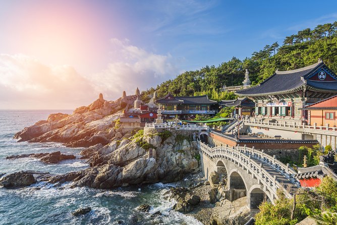 Cruise Layover : Small Group Busan Highlight Day Tour - Key points you’ll feel the moment you step off the ship