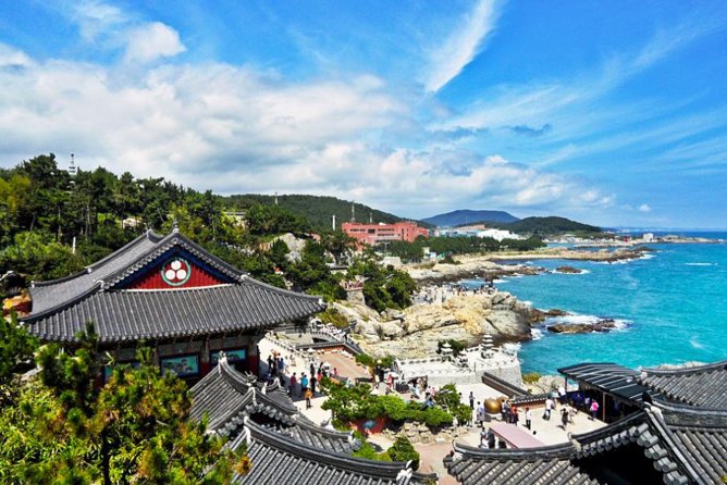 Cruise Layover : Small Group Busan Highlight Day Tour - Gamcheon Culture Village, art-filled alleys on steep hills