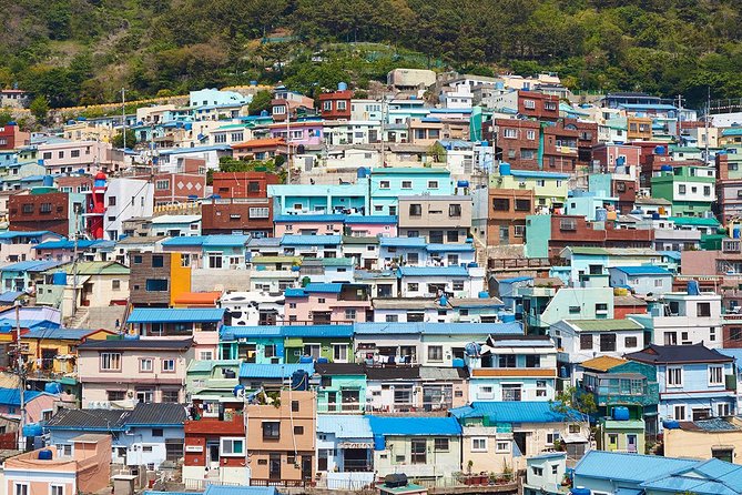 Cruise Layover : Small Group Busan Highlight Day Tour - BIFF Square, a fast look at modern Busan energy