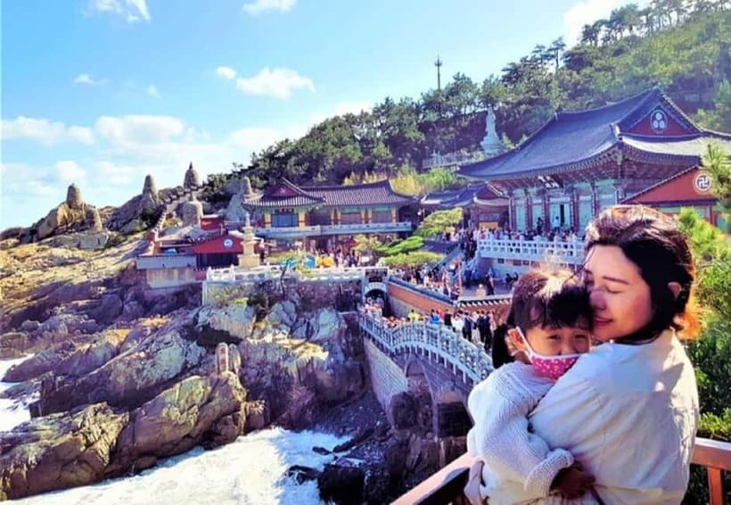 Cruise Ship Guests'Shared Tour in Busan for Up to 6 people - Key Points Before You Go