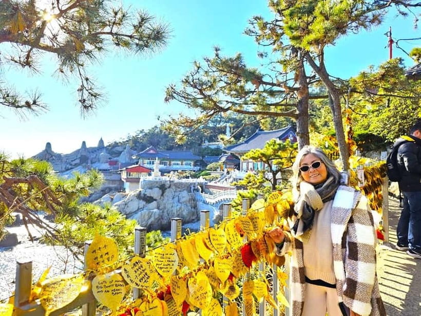 Cruise Ship Guests'Shared Tour in Busan for Up to 6 people - Gwangan Bridge Pass-By: Diamond Bridge at the Right Moment