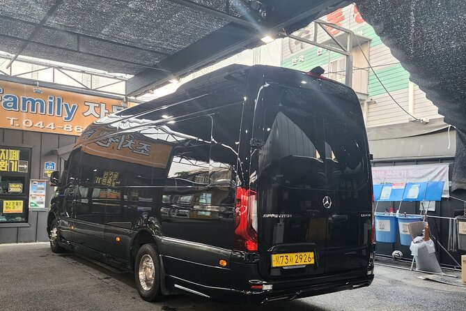 Customizable Private Seoul Tour in luxury van for VIP - Insadong: 700 Meters of Art, Antiques, and Snack Energy