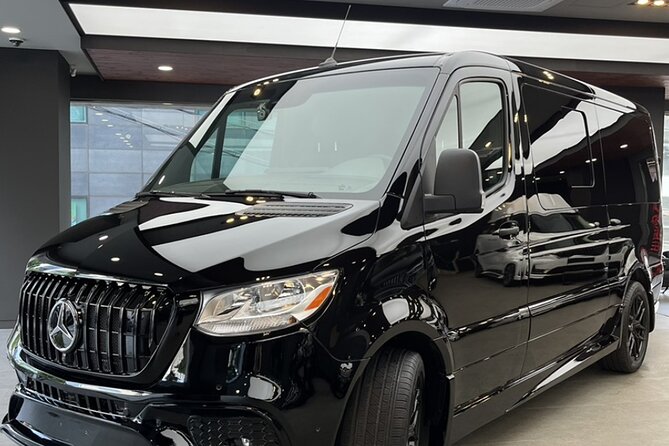 Customizable Private Seoul Tour in luxury van for VIP - Gwangjang Market: Street Food and Real Local Snacks