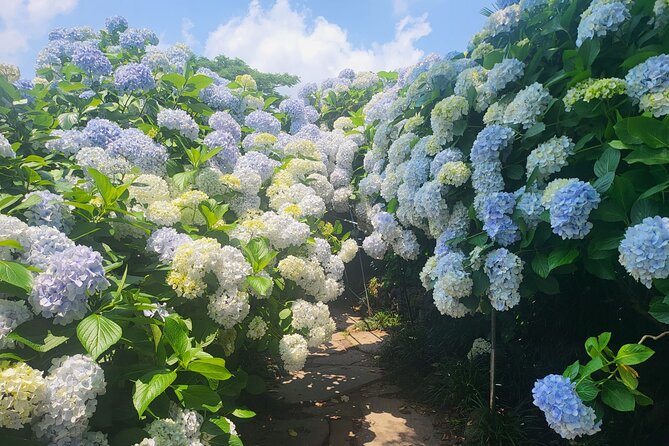 Customized private tour in Jeju island - Price and logistics: what you get for $175 per person
