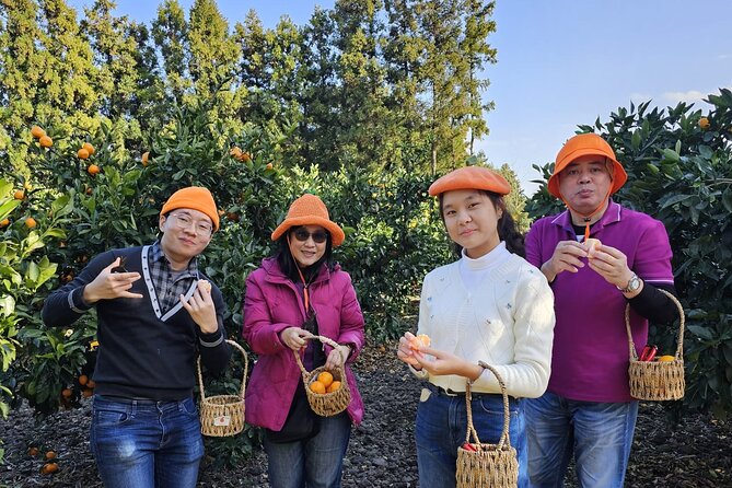 Customized private tour in Jeju island - West Jeju coast: Sinchang Coastal Road, Hyeopjae Beach, Osulloc