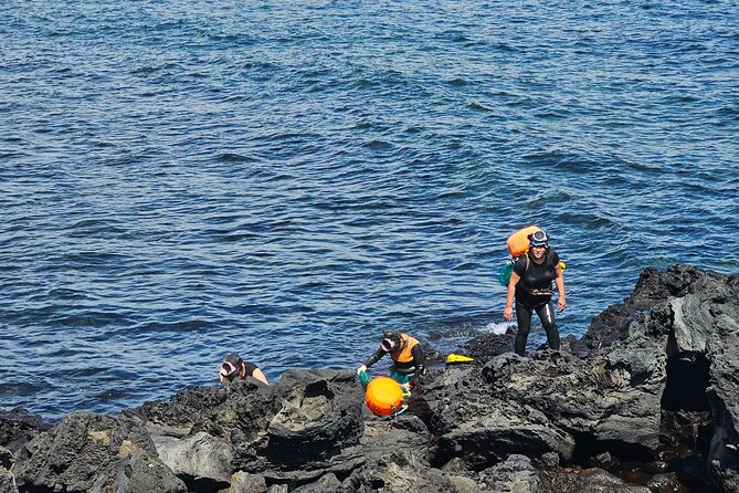 Customized private tour in Jeju island - South Jeju highlights: Jeongbang Falls, Oedolgae, jusangjeli