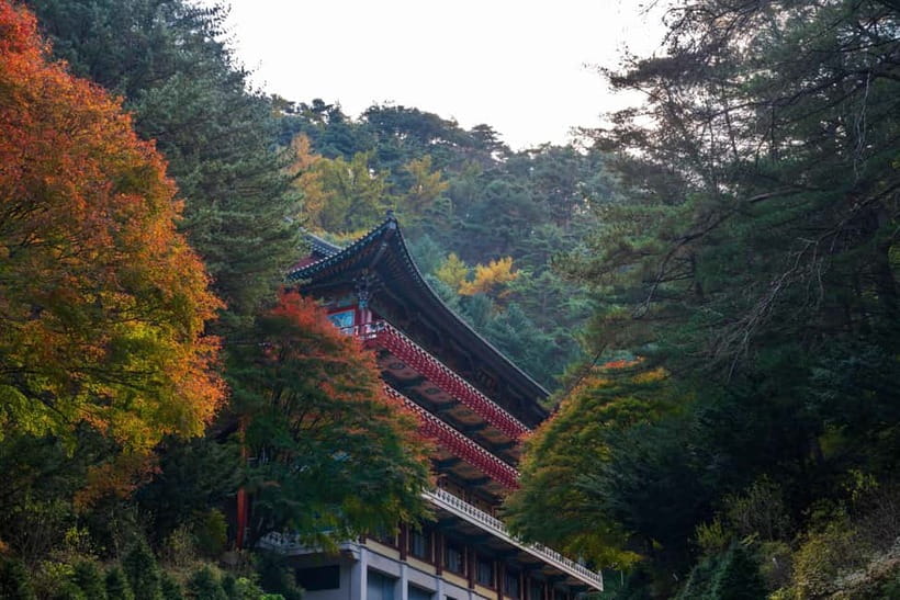 Danyang Tour:Guinsa Temple & Bobaljae & Cheongpung Cable Car - Bobaljae Road and Observatory: Autumn Leaf Views That Actually Work