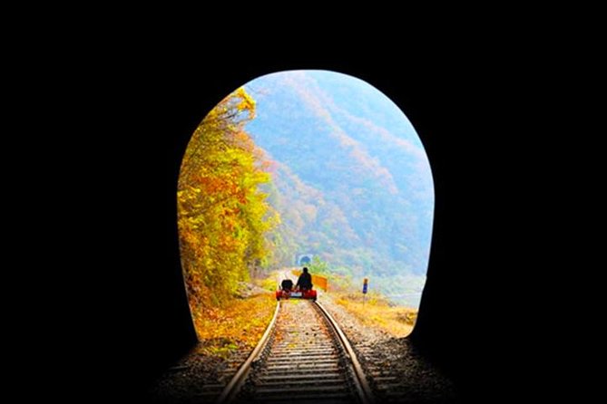 Day Tour to Gangchon Rail Bike Nami Island and Petite France - Stop 2: Nami Island for Ferry Time and Drama-Spot Scenery