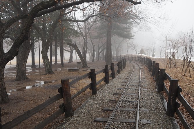 Day Tour to Gangchon Rail Bike Nami Island and Petite France - What You Get From a Private Guide Style (and Why It Matters)