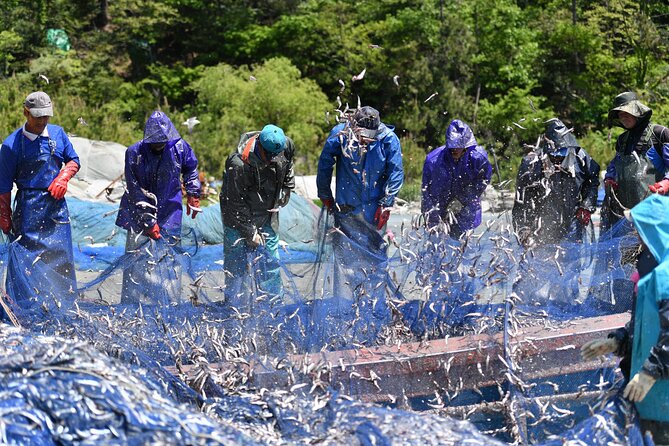 Day trip to beautiful Korean marine national park, Hallyeohaesang - Why Hallyeohaesang Feels Like a Break From Busan