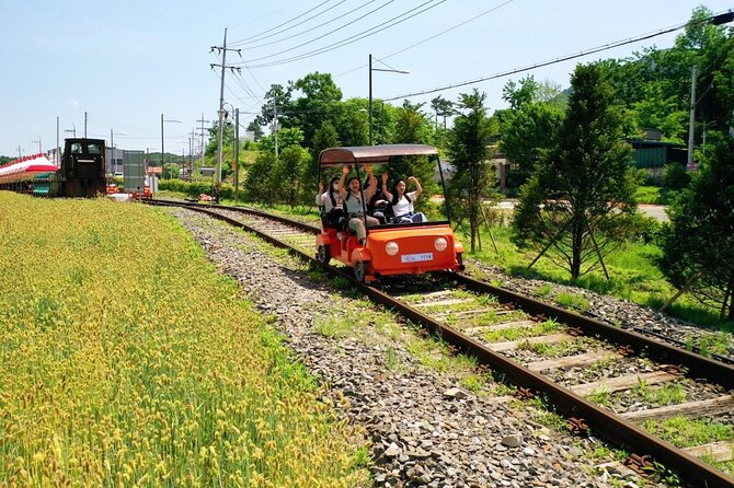 Day Trip to Nami Island with Rail bike and The Garden of Morning Calm - Why this Nami Island rail bike day feels worth the time