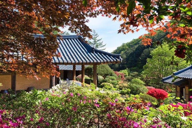 Day Trip to Nami Island with The Garden of Morning Calm - Nami Island: Winter Sonata Fame, Tree-Lined Walking, and Bike Time