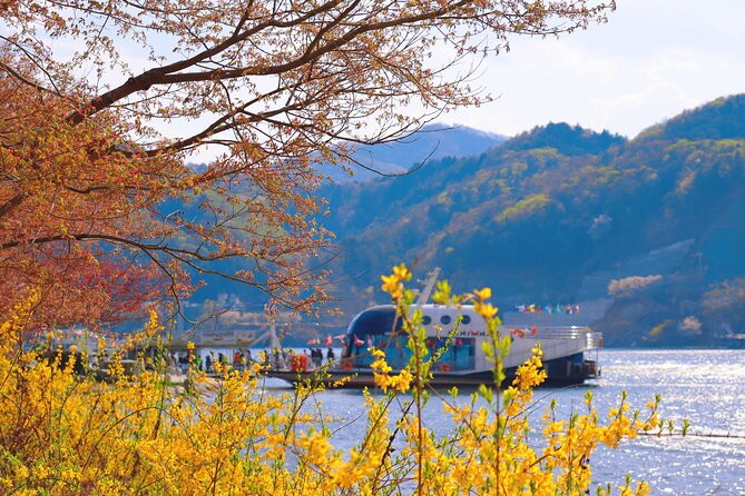 Day Trip to Nami Island with The Garden of Morning Calm - The Garden of Morning Calm: A Two-Hour Reset for Photos and Peace