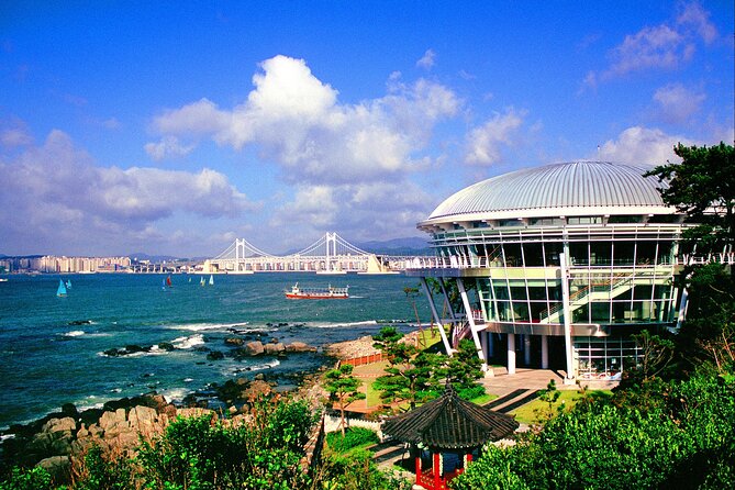 Discover Eastern Korea in 4days: All-Inclusive Experience - Food, no-shopping comfort, and the wellness stop