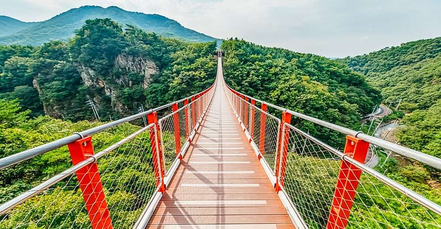 DMZ Insider Tour: 3rd Tunnel, NK Defector Meet & Red Bridge - Imjingak Park and Mangbaedan Altar, plus a Steam Locomotive Moment