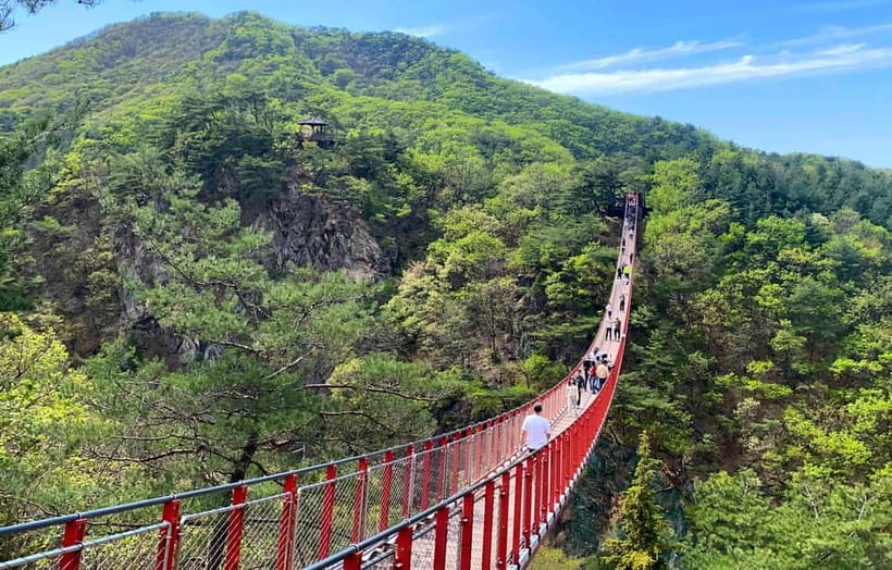 DMZ; NK Defector, 3rd Tunnel, Suspension Bridge,Hotel pickup - Hotel pickup, meeting points, and how the day is paced