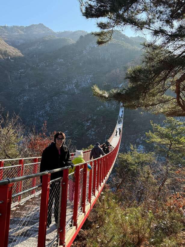 DMZ; NK Defector, 3rd Tunnel, Suspension Bridge,Hotel pickup - Optional suspension bridge choices: red bridge versus Majang Lake