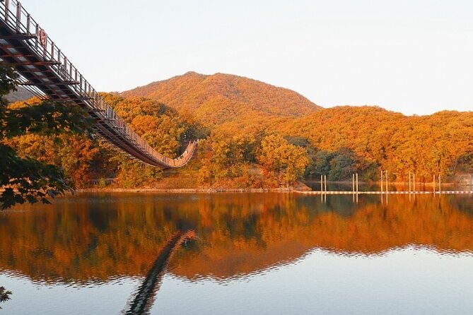 DMZ Private Tour: 3rd Tunnel, Option(Suspension Bridge, Boat) - The Extra Option: Suspension Bridges That Give Your Eyes a Break