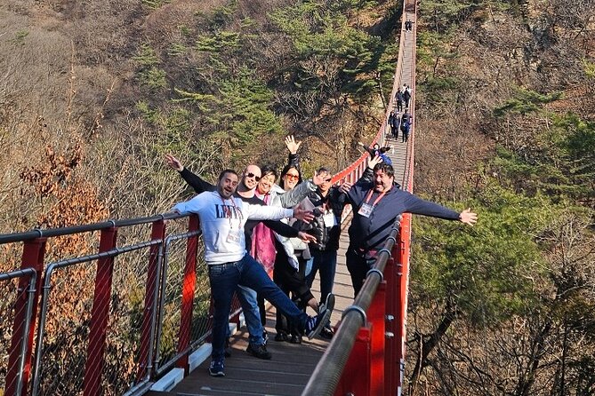 DMZ Tour from Seoul – Optional Suspension Bridge Experience - Dora Observatory: your telescope moment on clear days