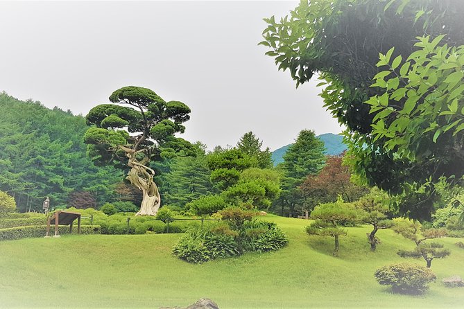 Easy private tour to Nami Island, Garden of Morning Calm - What’s included, what’s not, and how to budget smart