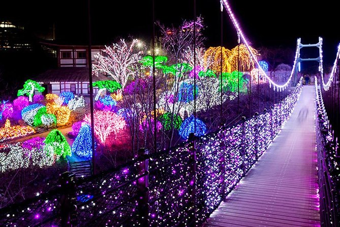 Easy private tour to Nami Island, Garden of Morning Calm - Timing, pacing, and small choices that change everything