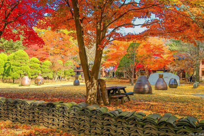 Easy private tour to Nami Island, Garden of Morning Calm - Weather and photos: how to make the day feel like yours