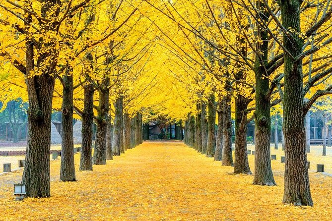 Easy private tour to Nami Island, Garden of Morning Calm - Nami Island: filming-location vibes with room to wander