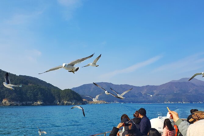 Enchanting Oedo Island Day Tour from Busan with Windy Hill - Geoje Panorama Cable Car: the height moment and the view-maker