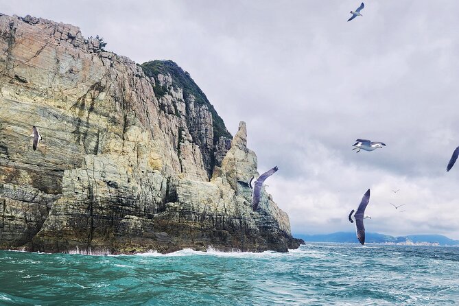 Enchanting Oedo Island Day Tour from Busan with Windy Hill - Guides and pacing: why the day feels organized (even with lots of moving parts)