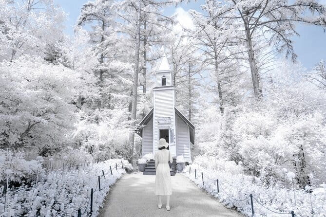 Eobi Ice Valley, Nami Island, Morning Calm and Rail Bike Seoul - Key points to know before you go