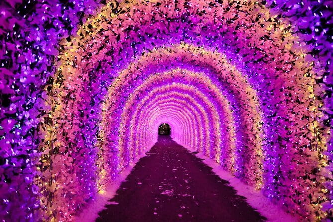 Eobi Ice Valley, Nami Island, Morning Calm and Rail Bike Seoul - Price and logistics: what $87.48 buys you in one day