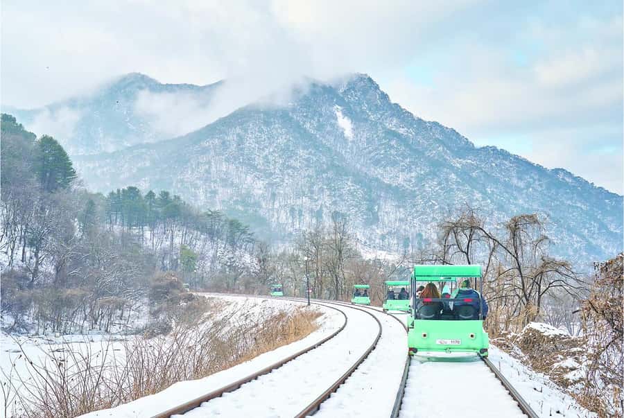 Eobi Ice Valley & Nami (+ Light Festival, Railbike, Alpaca) - Winter Wonderland: How Eobi and Nami Fit Together