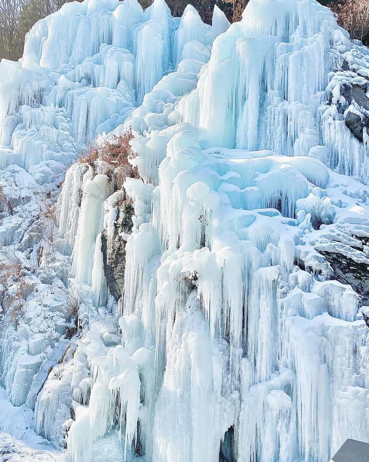 Eobi Ice Valley & Nami (+ Light Festival, Railbike, Alpaca) - Price and Logistics: Why This Seoul Day Trip Feels Fair at $71