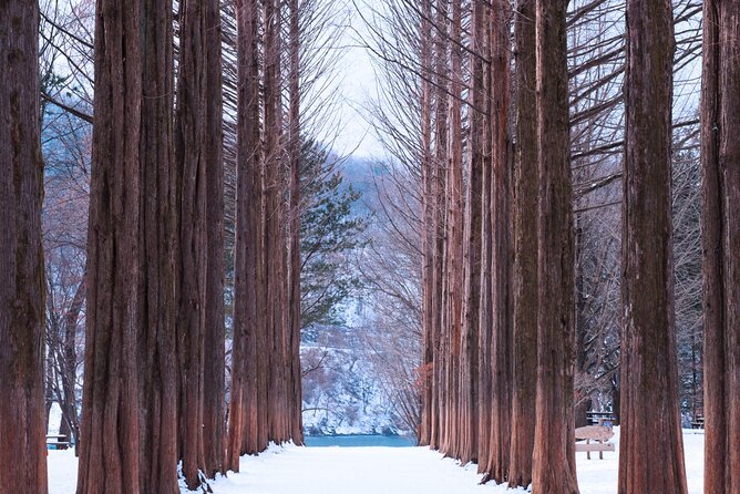 Eobi Valley(Winter), Strawberry, Nami Island & Railbike fr Seoul - A Seoul Day Trip That Trades Transit Headaches for Nature Time