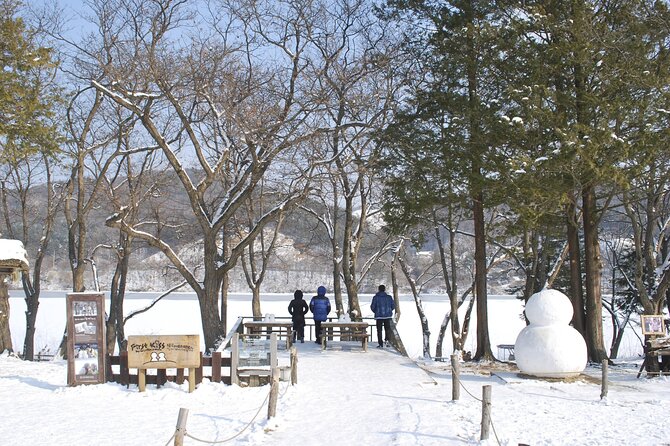 Eobi Valley(Winter), Strawberry, Nami Island & Railbike fr Seoul - Nami Island in Winter: 3.5 Hours to Walk, Bike, and Eat