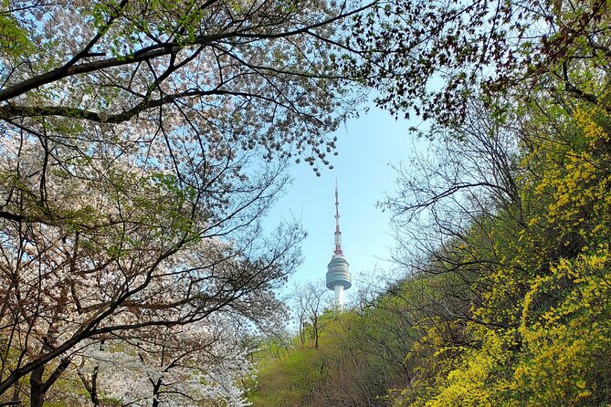 Essence of Seoul, 100% Private Full Day City Tour - Jogyesa Temple: where Buddhism is not just a stop, it’s a rhythm