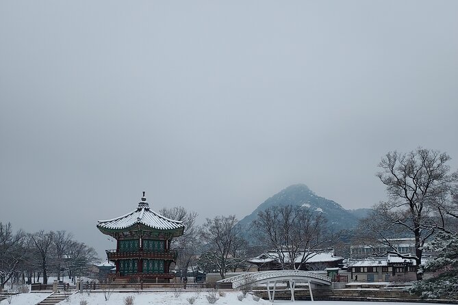 Essence of Seoul, 100% Private Full Day City Tour - Your guide, Chris Lee, and why this tour feels personal